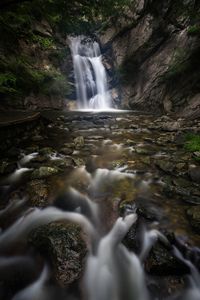 Scenic view of waterfall in forest