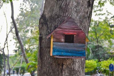 Close-up of birdhouse on tree trunk