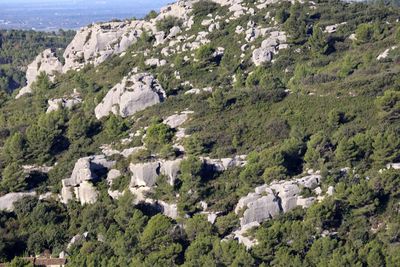 High angle view of trees and mountains