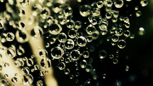 Close-up of water drops on glass