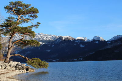 Scenic view of tree mountains against sky