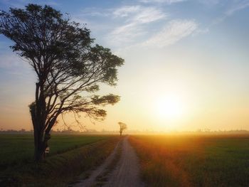 Scenic view of agricultural field against sky during sunset