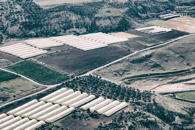 High angle view of agricultural field