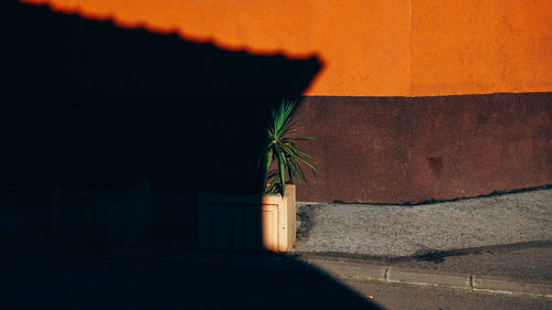 Shadow on wall of building