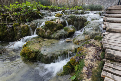 Stream flowing through rocks in forest