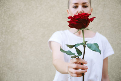 Faceless portrait of woman holding red rose in hand. close-up of female hands holding rose. hipster