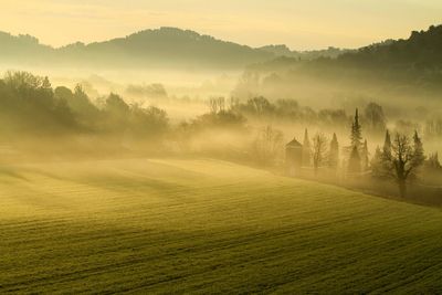 Scenic view of field against sky during sunset