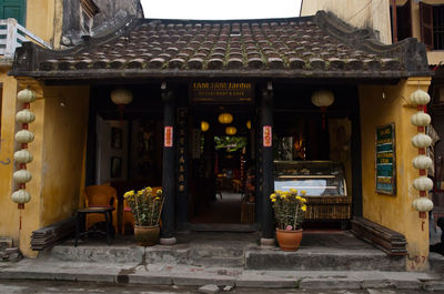 Potted plants at entrance of building