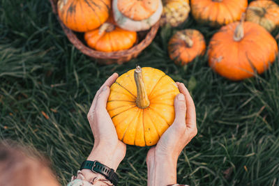 Cropped hand holding pumpkin