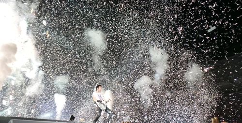 Close up of white flowers