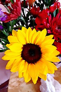 Close-up of yellow flower