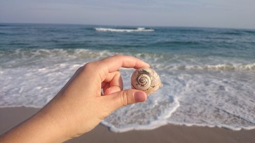 Cropped image of person holding seashell against sea at beach