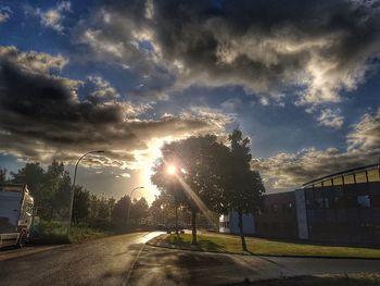 Empty road along trees on sunny day