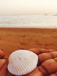 Close-up of hand holding sand at beach