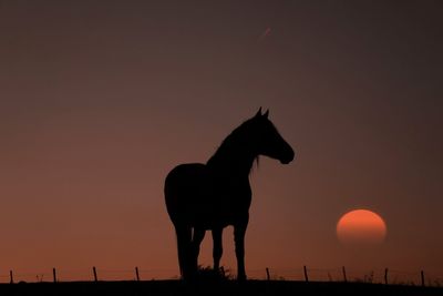 silhouette