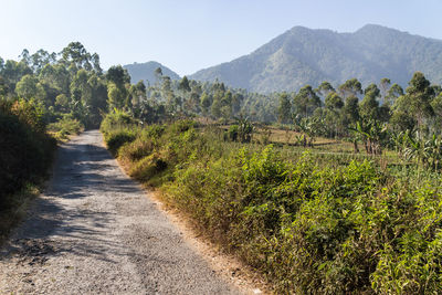 Road amidst trees and mountains against clear sky