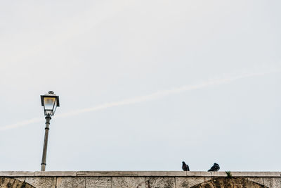 Low angle view of street light against sky