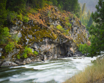 Scenic view of stream flowing through rocks in forest