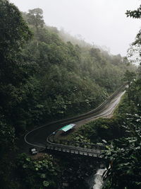 Road amidst trees in forest against sky