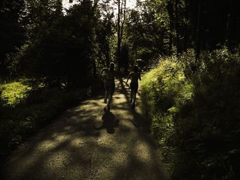 View of trees in park