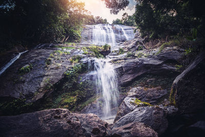 Scenic view of waterfall in forest