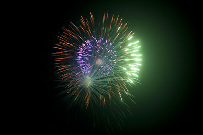 Low angle view of firework display