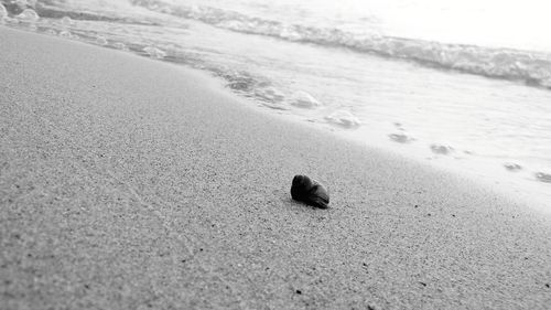 Close-up of footprints on sand at beach