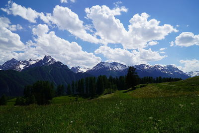 Scenic view of landscape against sky