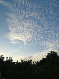 Low angle view of trees against sky during sunset