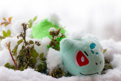 Close-up of snow on tree during winter