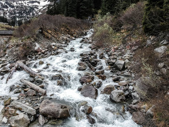 River flowing through rocks in forest