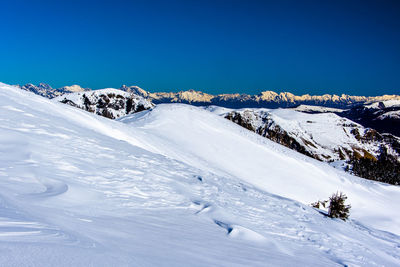 Glimpses of snow on monte grappa with blue sky and green trees, vicenza