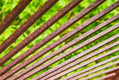 Full frame shot of bamboos