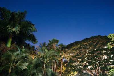 Palm trees against clear blue sky