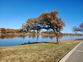 Scenic view of lake against clear blue sky