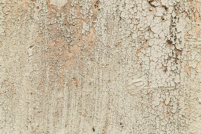 Full frame shot of weathered wall