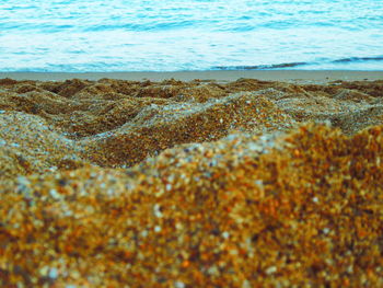 Close-up of sea shore