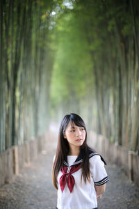 Young woman looking away while standing amidst bamboo groove