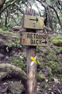 Information sign on tree trunk