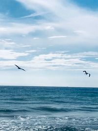 Seagull flying over sea against sky