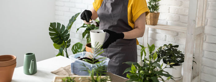 Midsection of woman holding potted plant