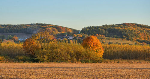 Scenic view of field against sky during autumn