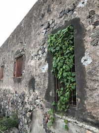 Old building by wall