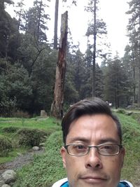 Portrait of young woman standing on tree trunk