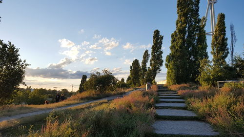 Road amidst trees against sky