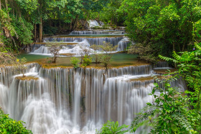 Scenic view of waterfalls in forest