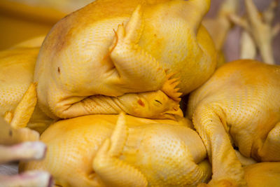 Close-up of raw chickens for sale at market stall