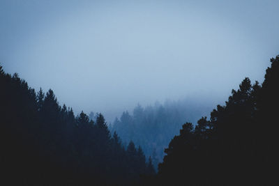 Silhouette trees in forest against sky