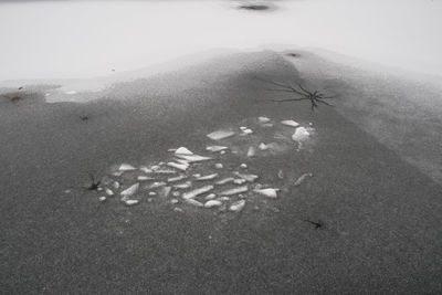 Close-up view of sand