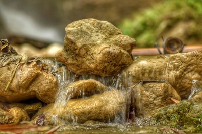 Close-up of water